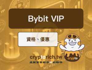 Bybit VIP 優惠好嗎？解析 Bybit VIP 資格查詢方式與福利